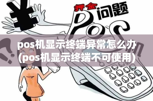 pos机显示终端异常怎么办(pos机显示终端不可使用)
