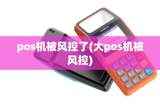pos机被风控了(大pos机被风控)