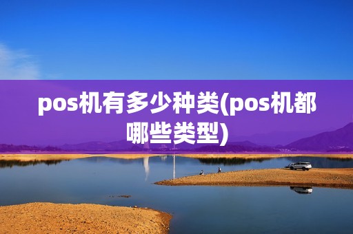 pos机有多少种类(pos机都哪些类型)