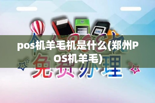 pos机羊毛机是什么(郑州POS机羊毛)