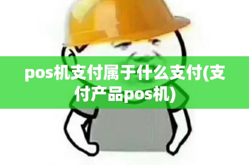 pos机支付属于什么支付(支付产品pos机)