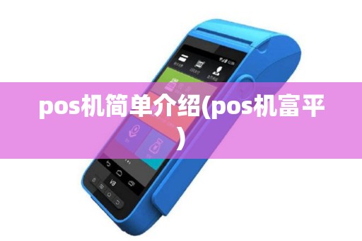 pos机简单介绍(pos机富平)