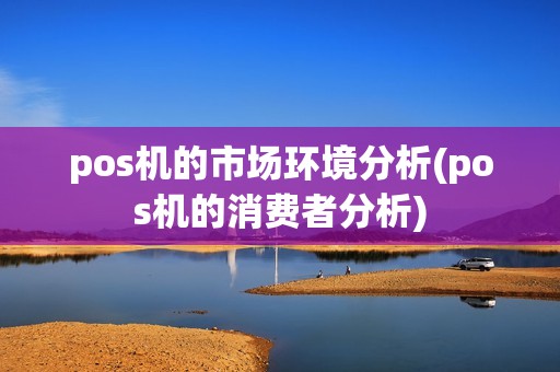 pos机的市场环境分析(pos机的消费者分析)
