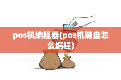 pos机编程器(pos机键盘怎么编程)