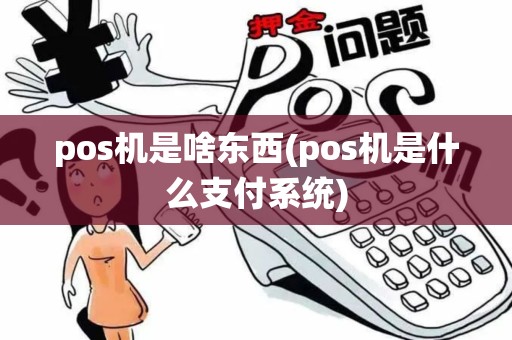 pos机是啥东西(pos机是什么支付系统)