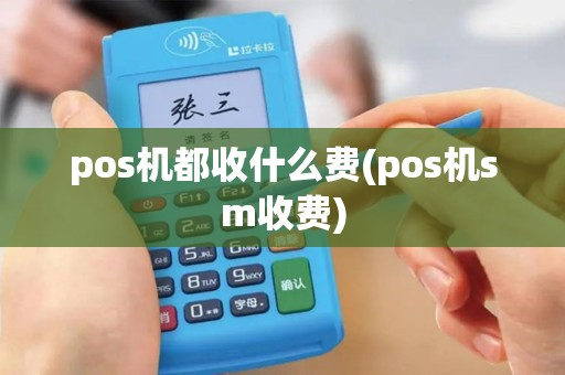pos机都收什么费(pos机sm收费)