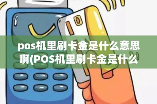 pos机里刷卡金是什么意思啊(POS机里刷卡金是什么)
