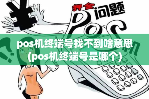 pos机终端号找不到啥意思(pos机终端号是哪个)