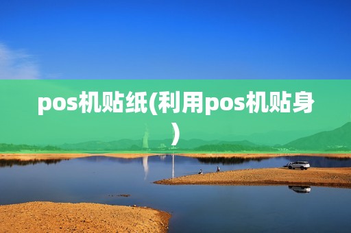 pos机贴纸(利用pos机贴身)