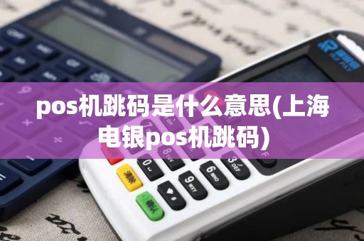 pos机跳码是什么意思(上海电银pos机跳码)