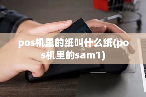 pos机里的纸叫什么纸(pos机里的sam1)