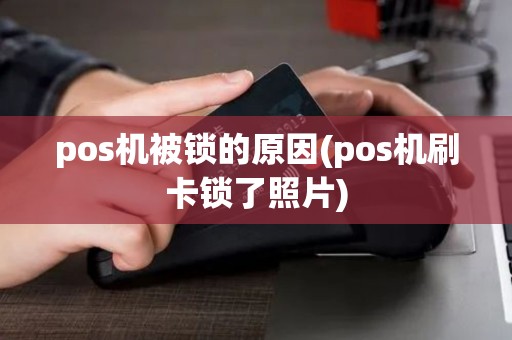 pos机被锁的原因(pos机刷卡锁了照片)