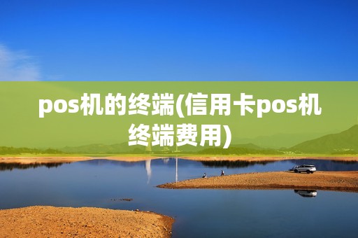 pos机的终端(信用卡pos机终端费用)