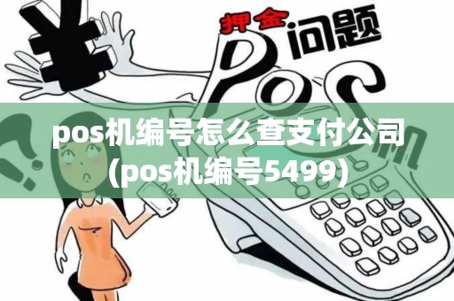 pos机编号怎么查支付公司(pos机编号5499)
