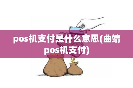 pos机支付是什么意思(曲靖pos机支付)
