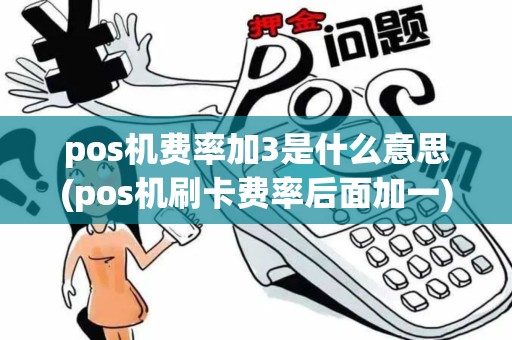 pos机费率加3是什么意思(pos机刷卡费率后面加一)