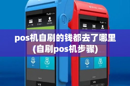 pos机自刷的钱都去了哪里(自刷pos机步骤)