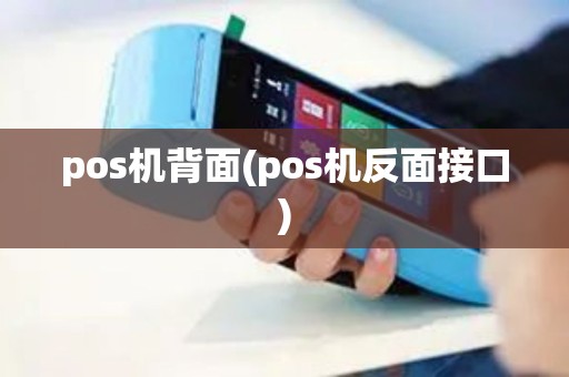 pos机背面(pos机反面接口)