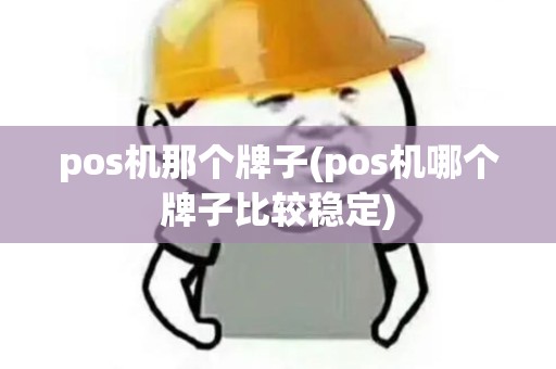 pos机那个牌子(pos机哪个牌子比较稳定)