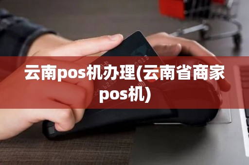 云南pos机办理(云南省商家pos机)