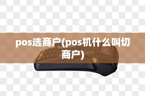 pos选商户(pos机什么叫切商户)