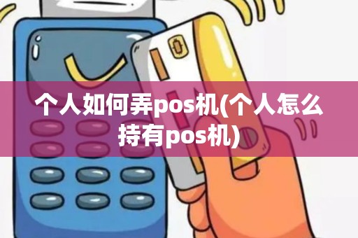 个人如何弄pos机(个人怎么持有pos机)