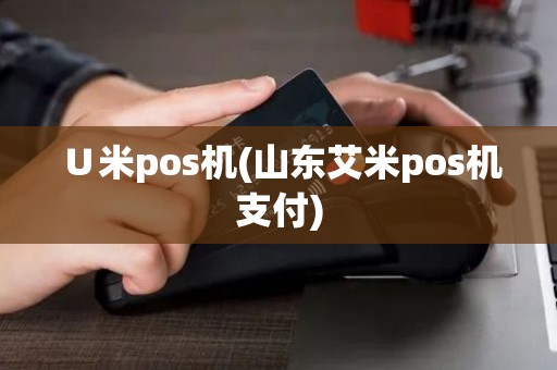 ∪米pos机(山东艾米pos机支付)