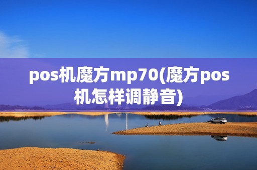 pos机魔方mp70(魔方pos机怎样调静音)
