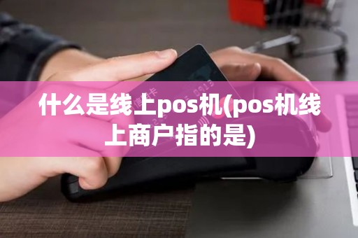 什么是线上pos机(pos机线上商户指的是)