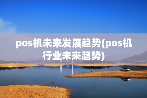 pos机未来发展趋势(pos机行业未来趋势)