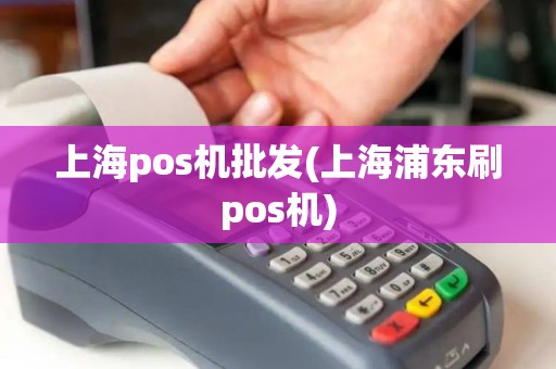 上海pos机批发(上海浦东刷pos机)