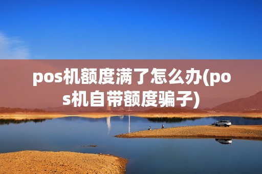 pos机额度满了怎么办(pos机自带额度骗子)