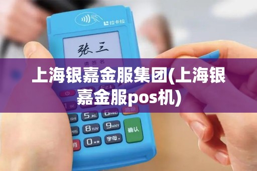 上海银嘉金服集团(上海银嘉金服pos机)