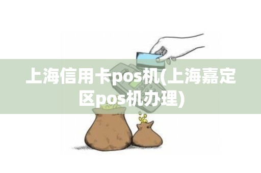 上海信用卡pos机(上海嘉定区pos机办理)