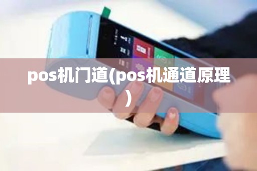 pos机门道(pos机通道原理)