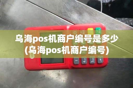 乌海pos机商户编号是多少(乌海pos机商户编号)