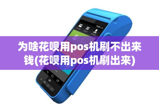 为啥花呗用pos机刷不出来钱(花呗用pos机刷出来)