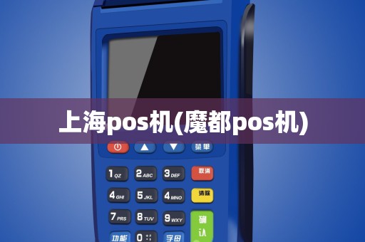 上海pos机(魔都pos机)