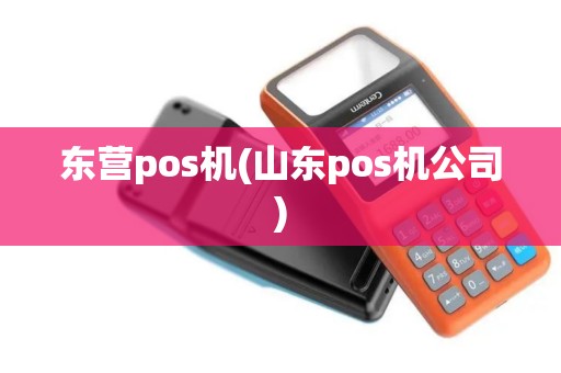 东营pos机(山东pos机公司)