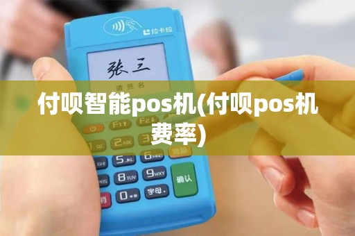 付呗智能pos机(付呗pos机费率)