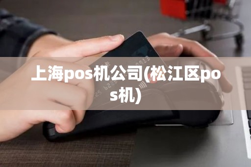 上海pos机公司(松江区pos机)