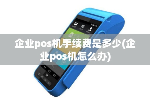 企业pos机手续费是多少(企业pos机怎么办)