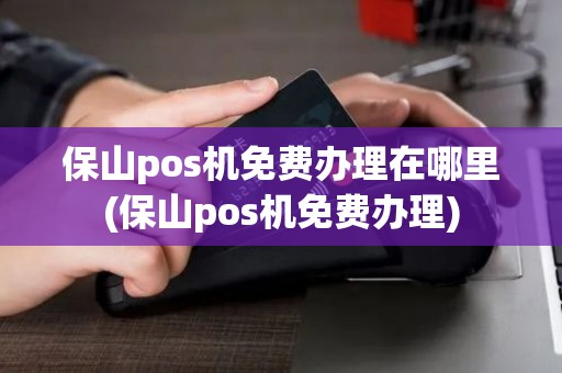 保山pos机免费办理在哪里(保山pos机免费办理)