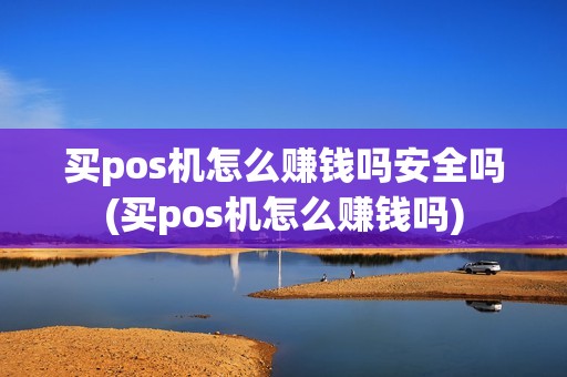 买pos机怎么赚钱吗安全吗(买pos机怎么赚钱吗)