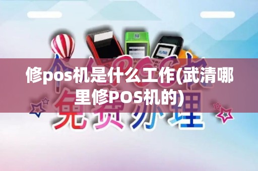 修pos机是什么工作(武清哪里修POS机的)