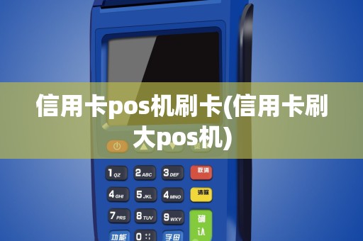 信用卡pos机刷卡(信用卡刷大pos机)
