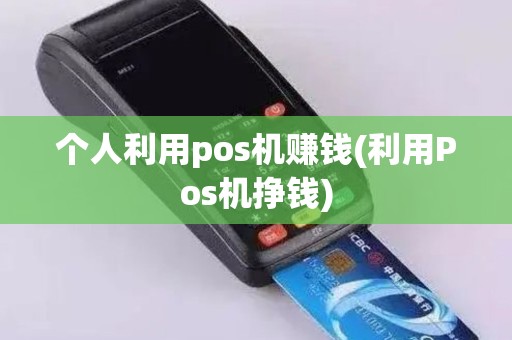 个人利用pos机赚钱(利用Pos机挣钱)
