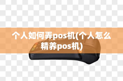 个人如何弄pos机(个人怎么精养pos机)