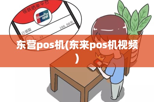 东营pos机(东来pos机视频)