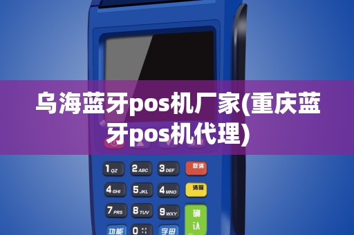 乌海蓝牙pos机厂家(重庆蓝牙pos机代理)